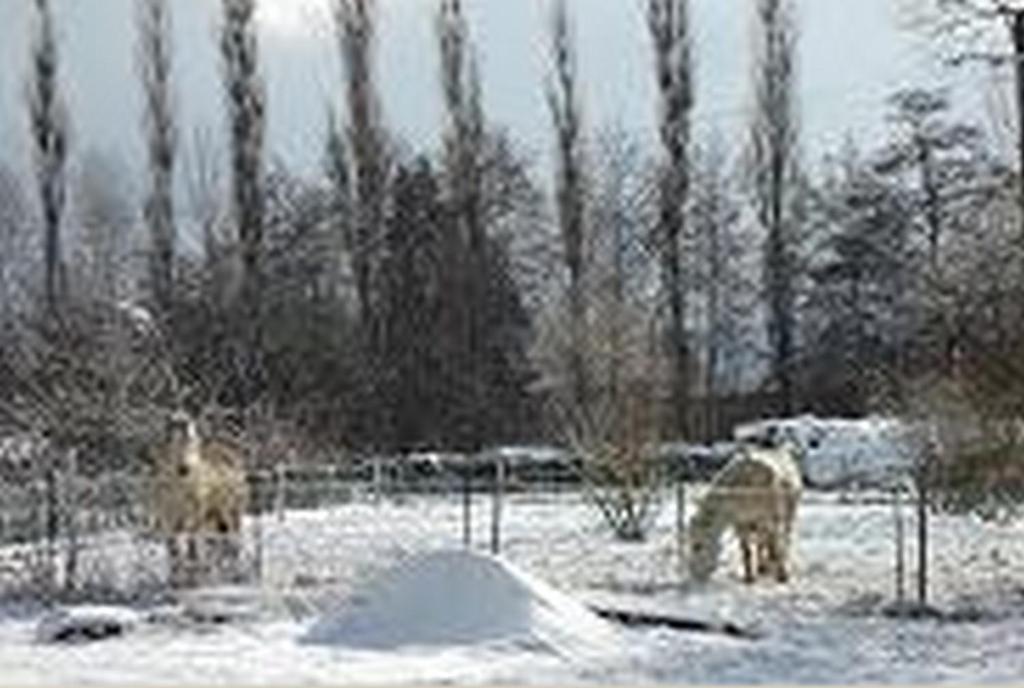 Le Clos Pré La Voivre  Extérieur photo